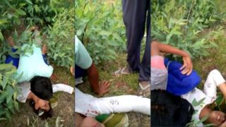 Desi Girl Jungle Gangbang Sex Video – Jungle Group Sex