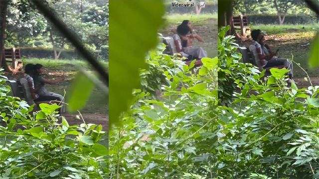 Delhi Teen Couple In Park Viral Xx Video – Teen Xxx Videos